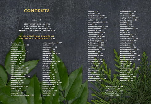 PACIFIC NORTHWEST MEDICINAL PLANTS KLOOS. SCOTT